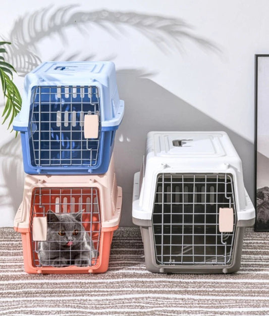 Cage de transport pour chat - Chachachats