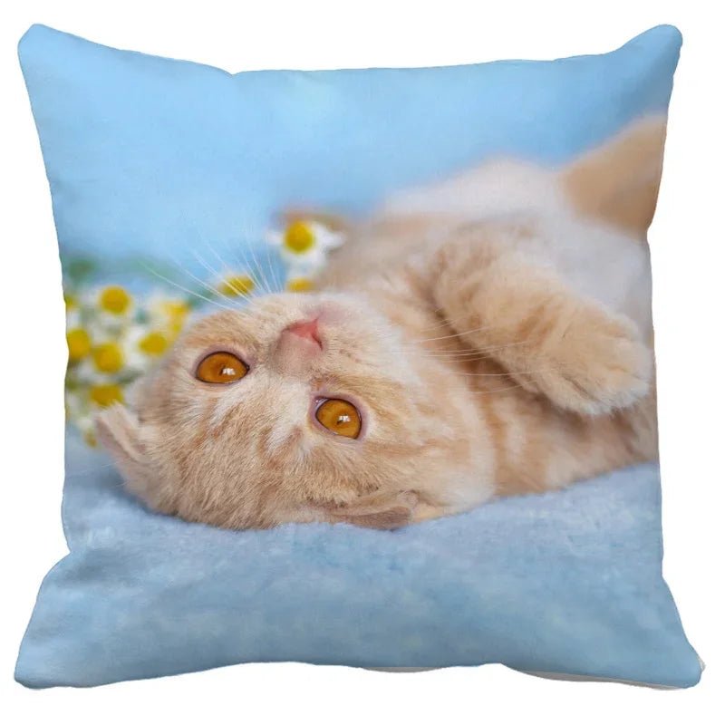 Coussin décoratif pour canapé - Chachachats