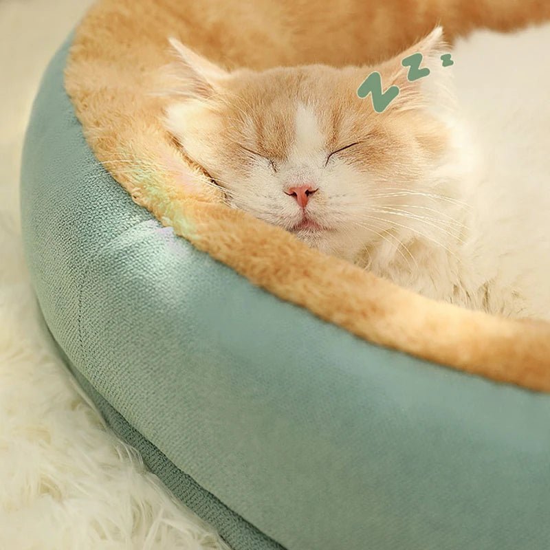 Coussin pour chat lavable et chaud - Chachachats