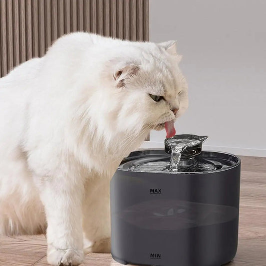 fontaine d'eau filtrante et qui recircule pour chats - Chachachats