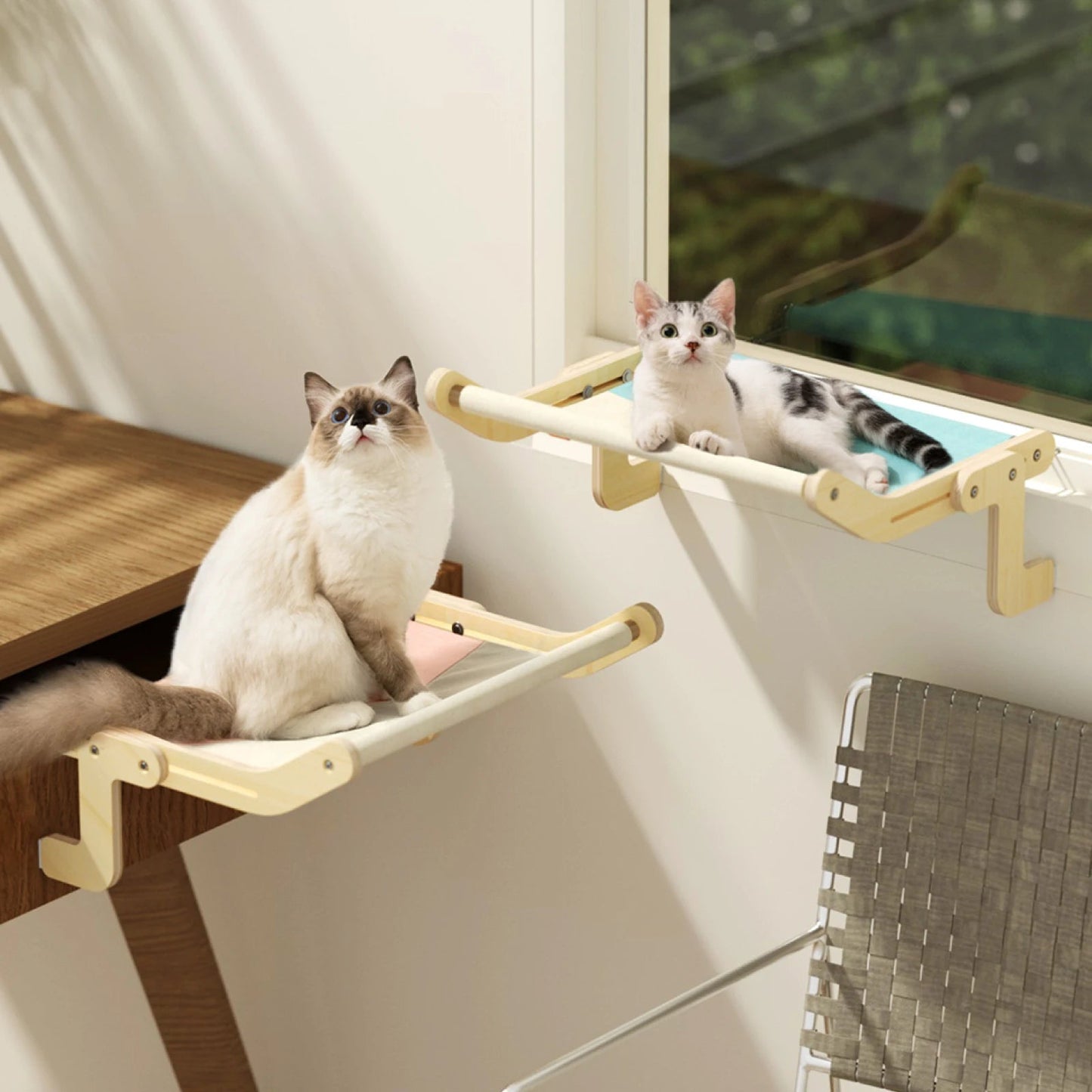 Mewoofun Sturdy Cat Window Perch Wooden Assembly Hanging Bed Cotton Canvas Easy Washable Multi-Ply Plywood Hot Selling Hammock - Chachachats